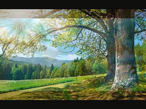 59. Hazrat Muhammad S.A.W Ki Ghar Walon Se Mohabbat/islahi bayanat by hafiz muhammad ibrahim naqshbandi khalifa e majaz peer hafiz muhammad zulfiqar db