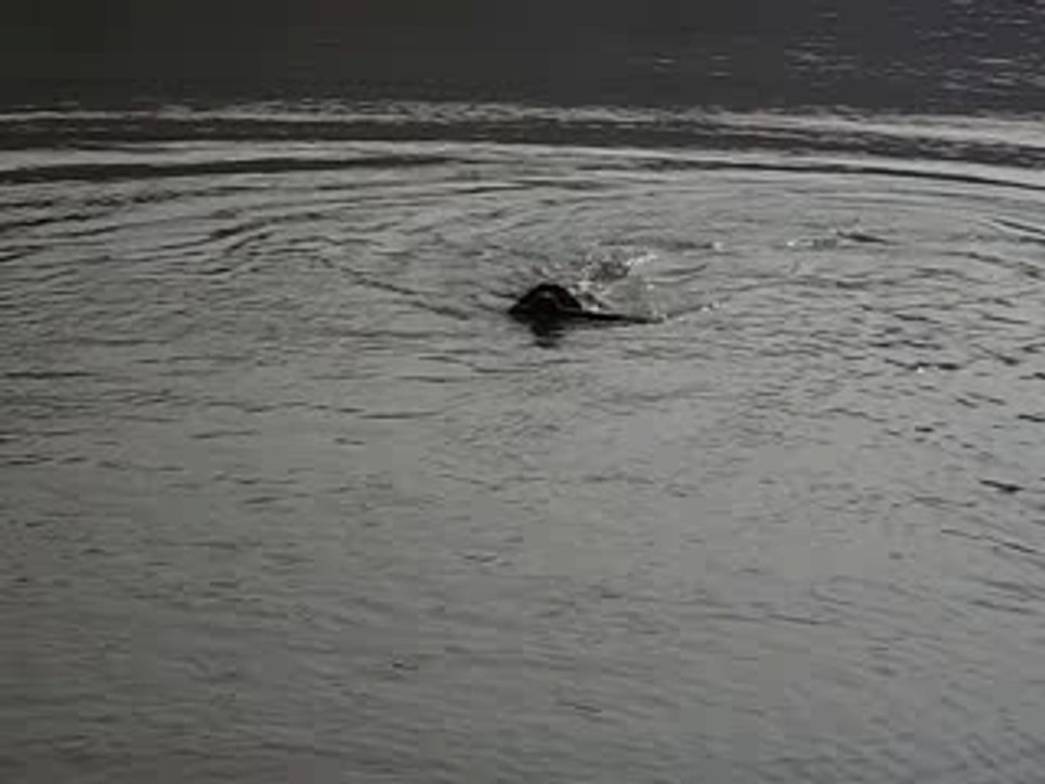 Baka lac 067