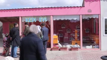 Van Kedileri İçin "Özel Ev"