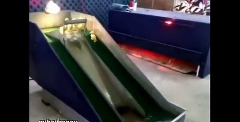 Funniest Ducks Compilation 2014 (Funny Ducks)