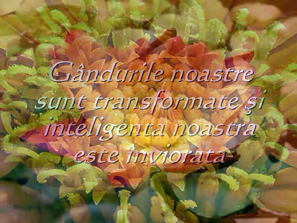 Naw-Ruz-Romanian-DVX