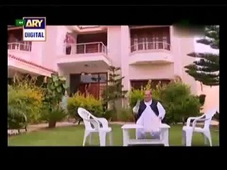 Rasgullay Episode 29 - ARY Digital