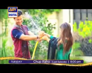 Chup Raho: ARY Drama Series