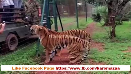 this really amazing......64