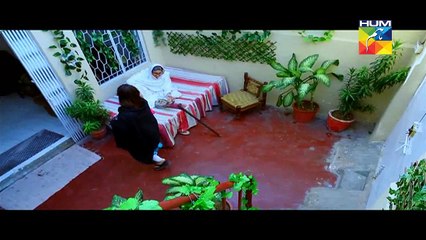 Sartaj Mera Tu Raaj Mera Episode 18 Full HUM TV Drama Mar 24, 2015