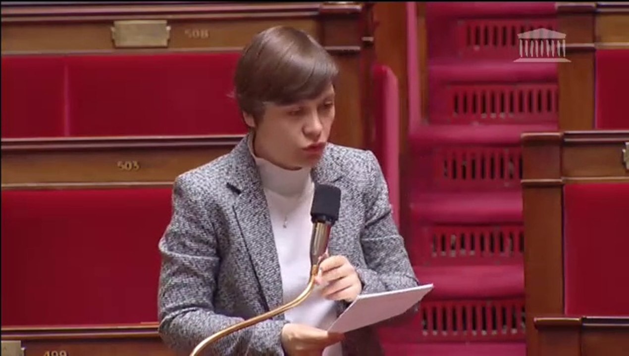 Ma Question Orale à Madame la Ministre Sylvia PINEL sur l'Exclusion des opérations de réhabilitation du bénéfice de la décote pour les cessions des terrains de l'État et la Réponse de Madame la Ministre