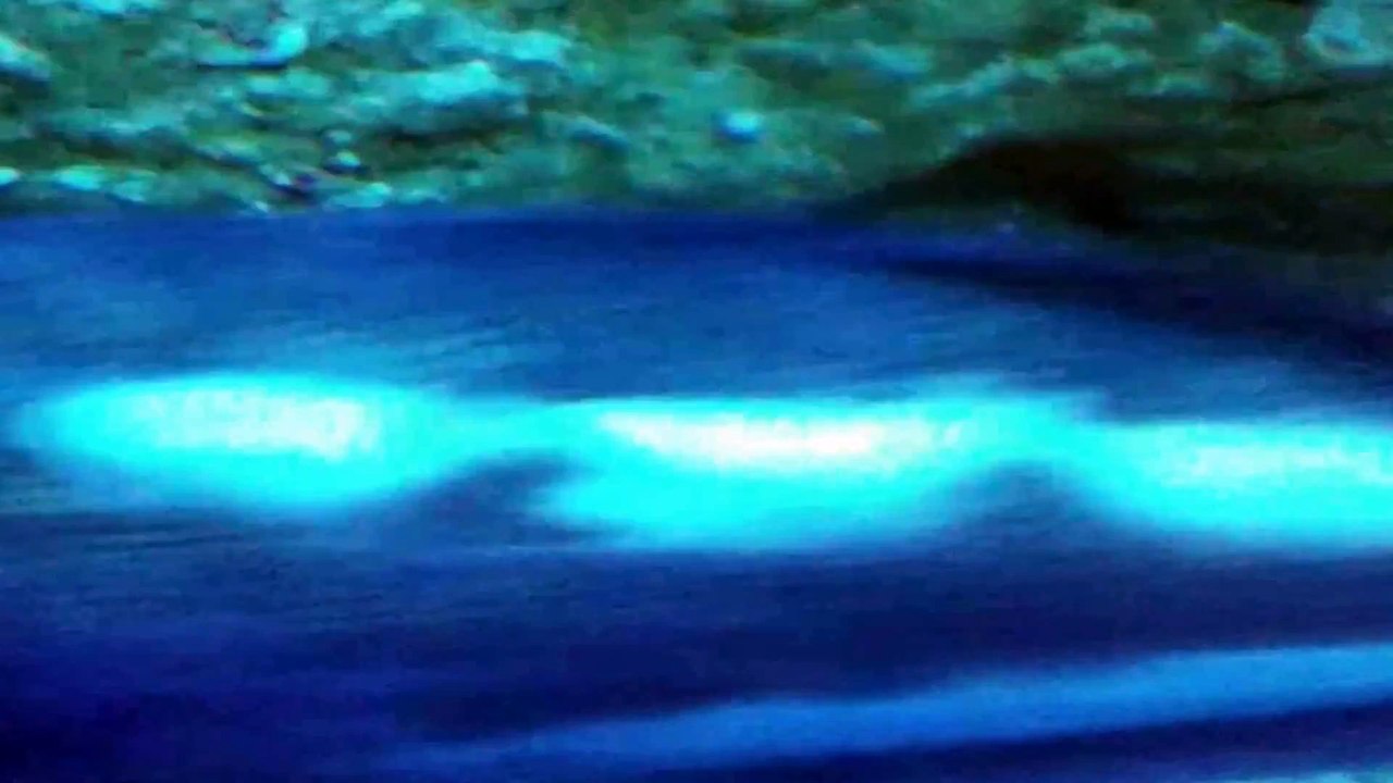 Underwater World Part 13