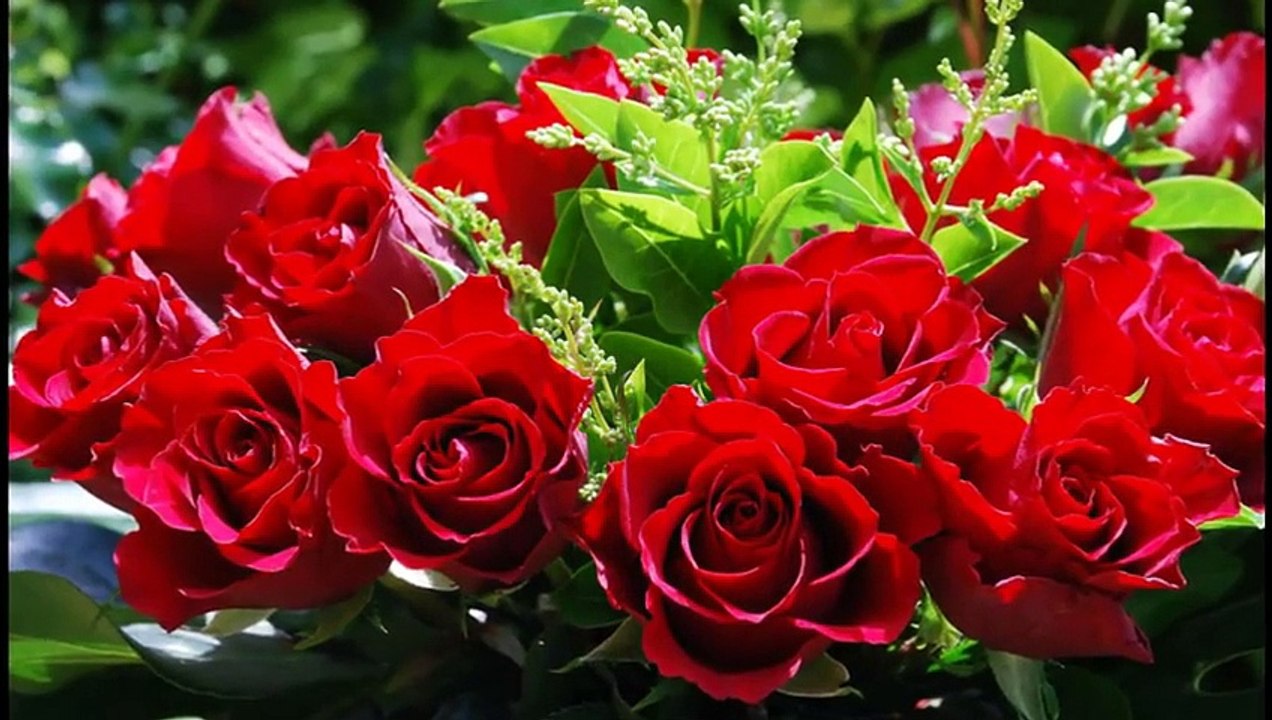 Просто розы и красивая музыка./ Simply roses and beautiful music.