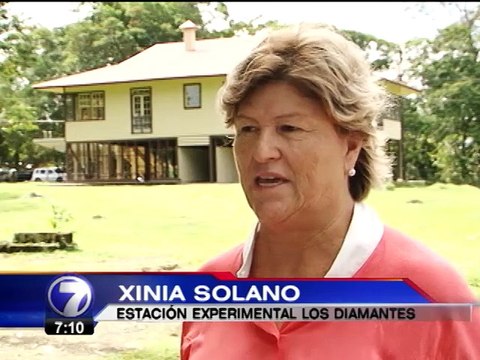 Corrupción y empleo serían prioridad de los ciudadanos si fueran presidentes