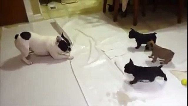 Daddy Playing With His Kids