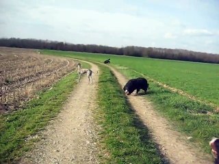 Balade avec les filles