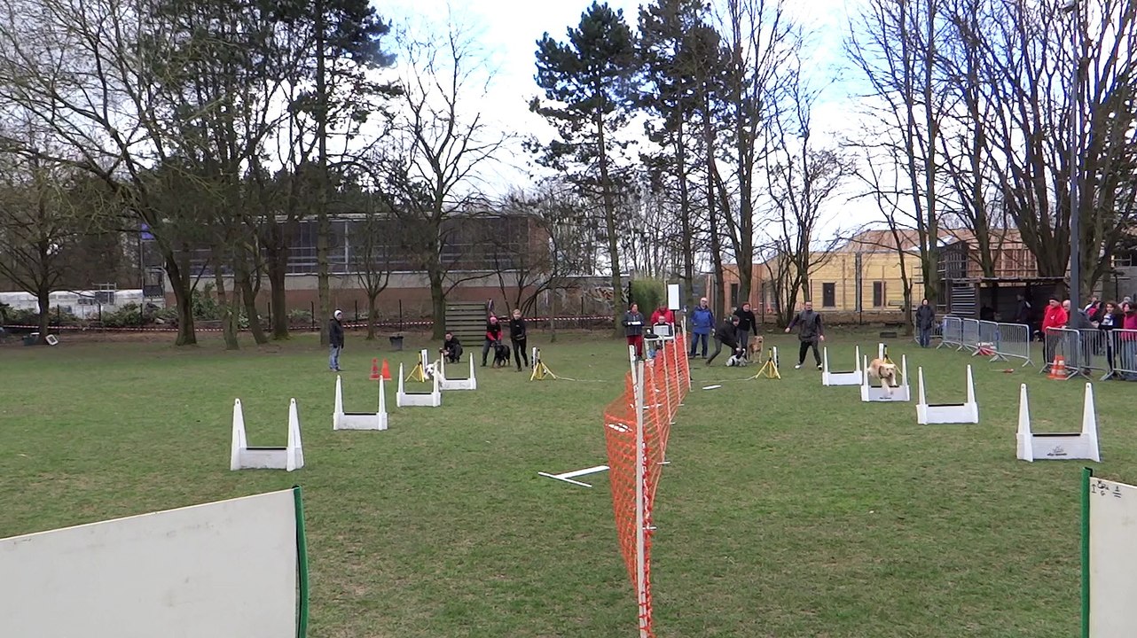 exterminators 2 21/03/15