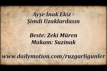 Ayşe İnak Ekiz-Şimdi Uzaklardasın