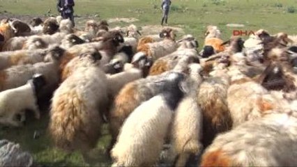 Kahramanmaraş Türkiye'nin 2023'teki Tarımsal İhracat Hedefi 150 Milyar Dolar