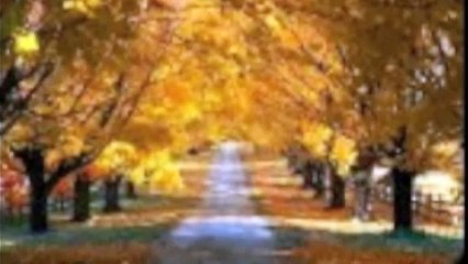 FRANCO SIMONE   La casa in via del campo