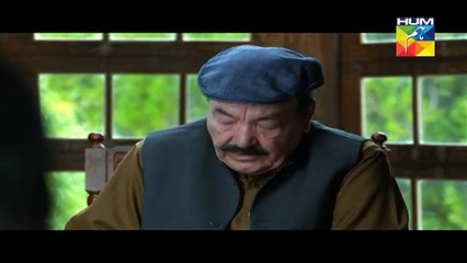 Diyar E Dil Episode 2 Full HUM TV Drama 24 March 2015