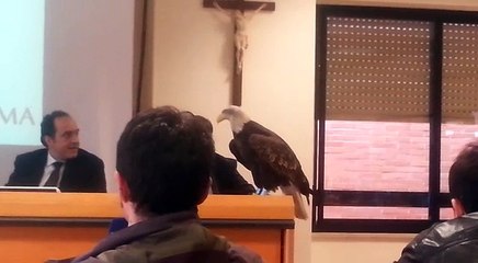 La lezione di Lotito all'Università Europea di Roma (3)