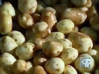 كيفية صناعة الشيبس رقائق البطاطا ...