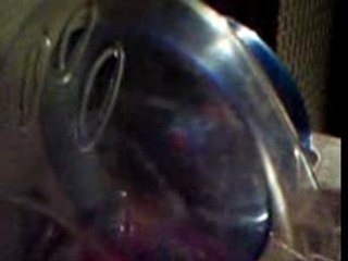 Hamster roue lumiere 2