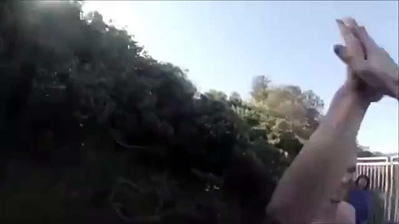 Kayalıklardan köpek balığının üstüne atlayan adam
