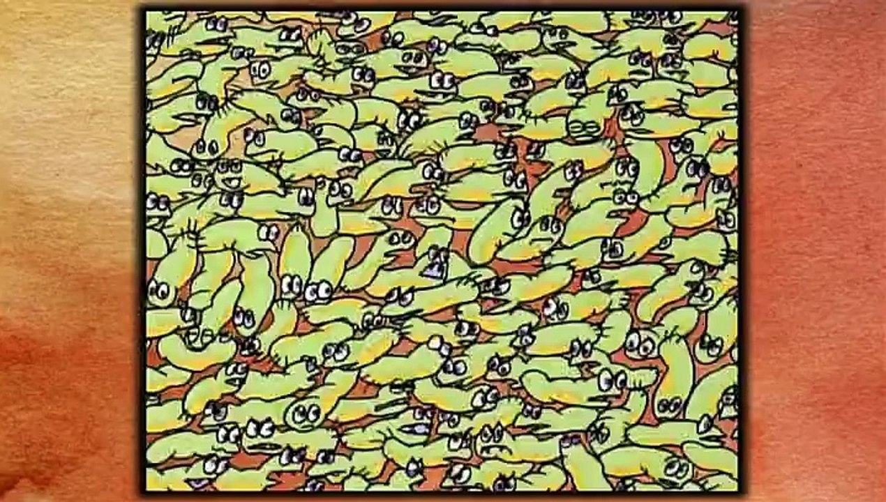 Viande, Alerte Aux Antibios