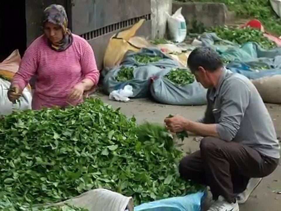 Hangimiz Sevmedik farklı yorum