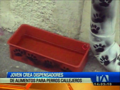 Crean dispensadores de alimentos para perros callejeros