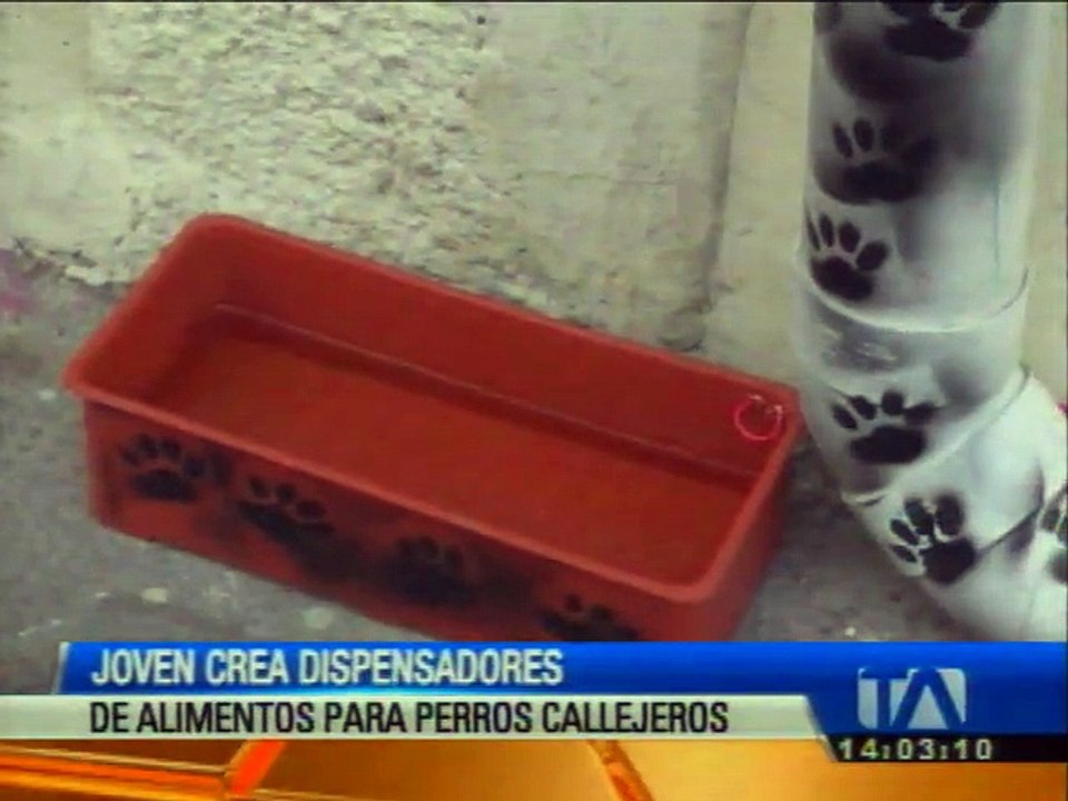 Crean dispensadores de alimentos para perros callejeros