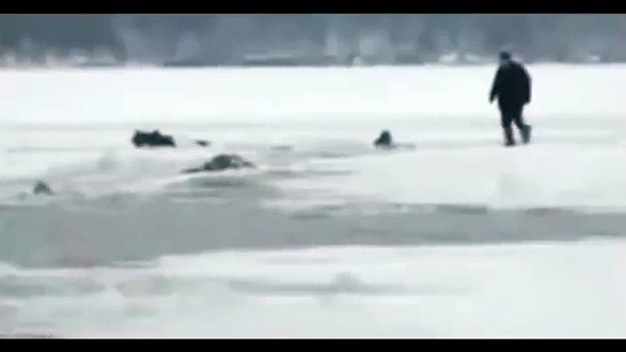 Кадры гибели В. Януковича-младшего. Машина провалилась под лед на Байкале