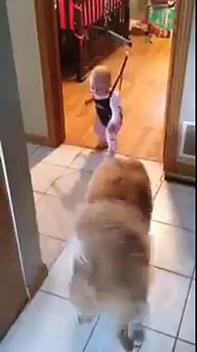 Dog teaches kid jumping!