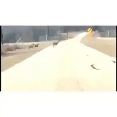 It happens when you are trying to impress your friend!