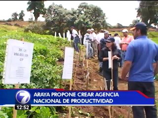 PLN presenta propuestas para aumentar la productividad