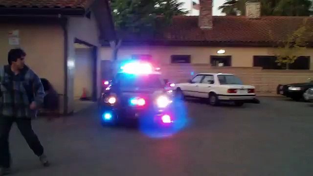 Ce Jeune chiot Policier Arrête un Suspect