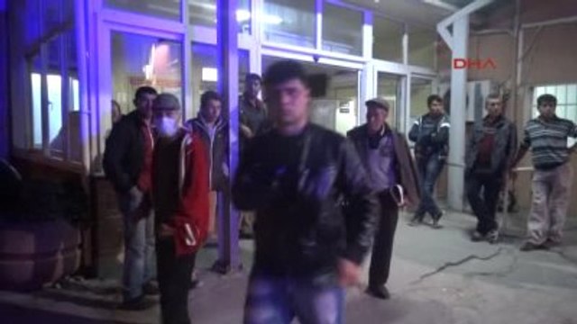 Yatağan Domuz Gribi Şüphesiyle İzmir'e Nakledildi