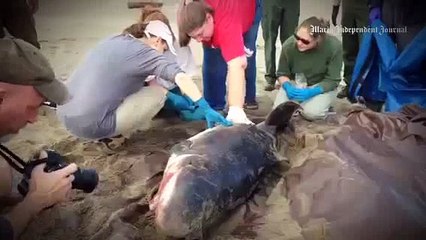 VIDEO: Ethel Seiderman announced as winner of the Lifetime Achievement Award at 22nd Annua