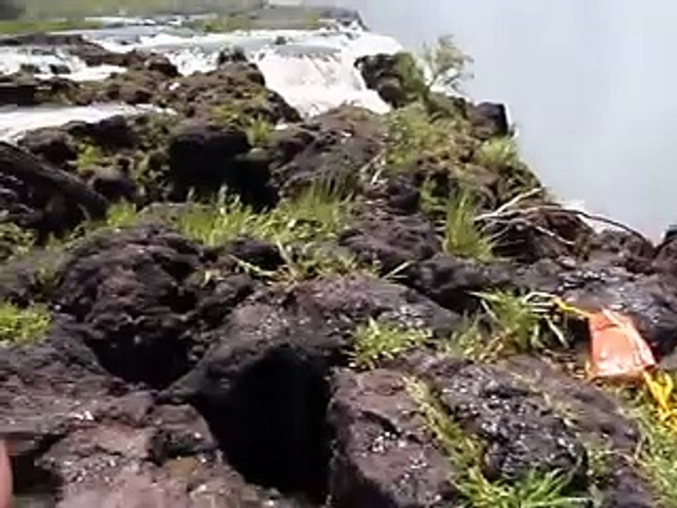Swimming with the Devil - see 1-10....