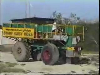 Swamp Buggy Ride, Near the Everglades