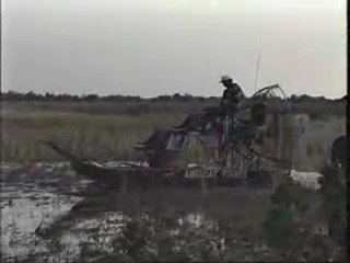 Air-Boat Ride, Big Cyprus Swamp, Florida