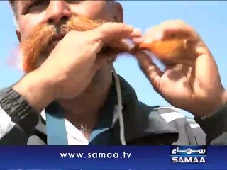 Faisalabad man pulls vehicle with moustaches