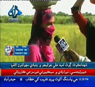 shahdadkot; umeed ali junejo goth ji Report(13.3.2015)