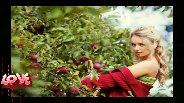 İbrahim Tatlıses - Adana Köprübaşı [2015]