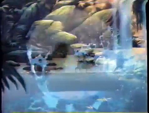 The Lion King - Special Edition (2003) Trailer (VHS Capture)
