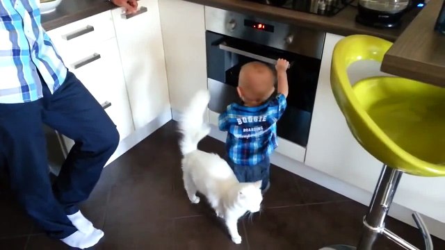 Un chat empêche un enfant de toucher au four! Trop mignon...