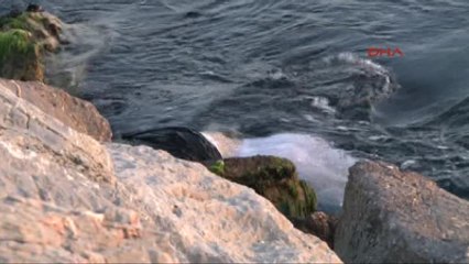 Maltepe'de Denizden Kadın Cesedi Çıktı