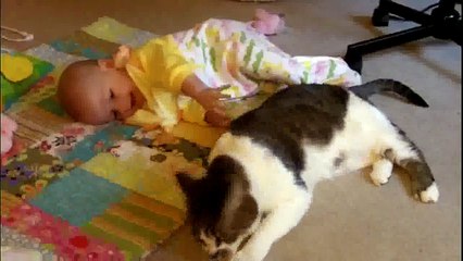 Baby sitting cat funny_video