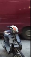 Bedava Döner Yiyen Kedi