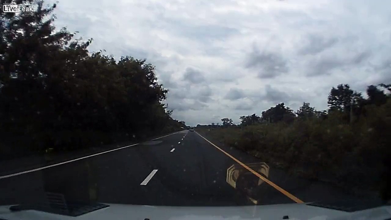 Avoid instant death...immediately turn on windshield wipers...amazing reaction