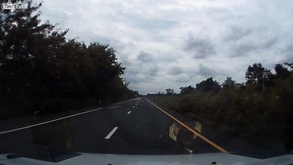 Avoid instant death...immediately turn on windshield wipers...amazing reaction