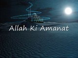 70. Allah Ki Amanati/islahi bayanat by hafiz muhammad ibrahim naqshbandi khalifa e majaz peer hafiz muhammad zulfiqar db