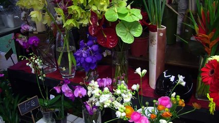 Emma MULINA présente Eglantine